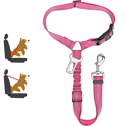 Dog Seat Belt